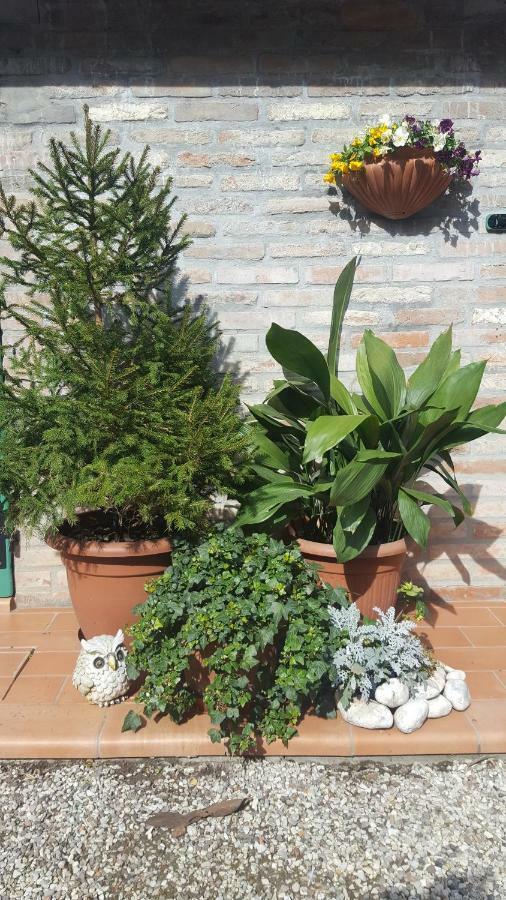 Carlo Mayr Apartment Ferrara Exterior foto